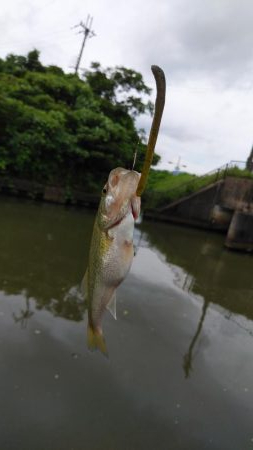 ちょっと寄り道