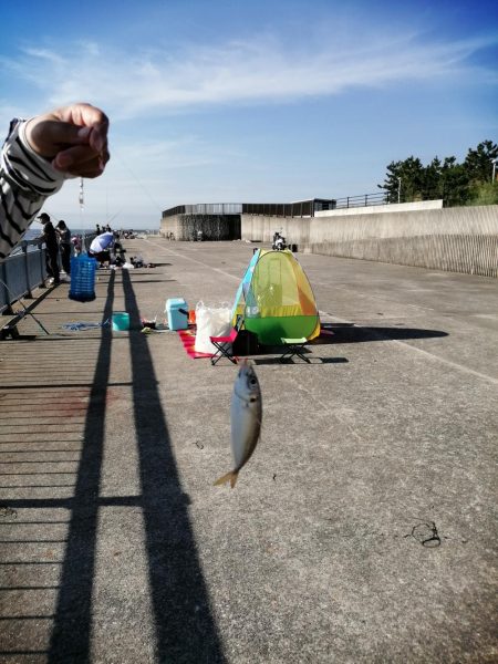 ファミリーフィッシング