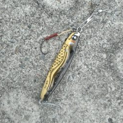 雨あがりに狙うも…