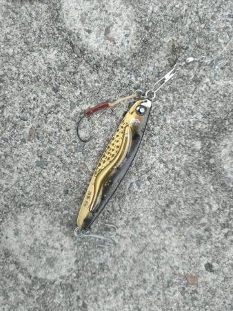 雨あがりに狙うも…