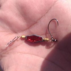 エギング　サーフで良型混じり