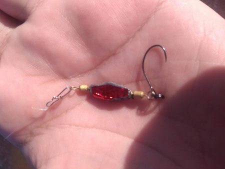 エギング　サーフで良型混じり