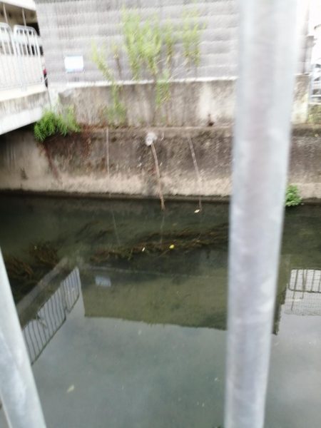 仕事の合間に❗