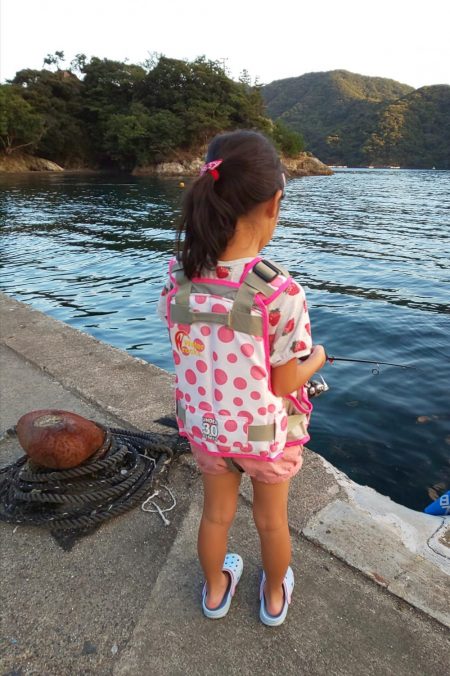 サイト不成立・・・