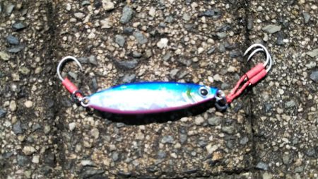 ツバス？ハマチ？