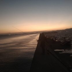 武庫川一文字でガシラ釣り