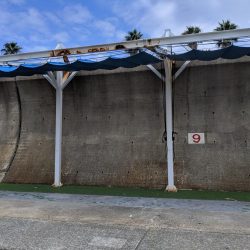 石鯛グレなどかサビキで釣れました。