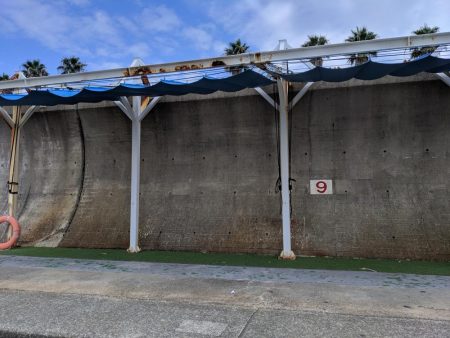 石鯛グレなどかサビキで釣れました。