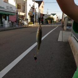 仕事の合間に❗