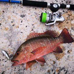 台風明け、やっと風が収まりました