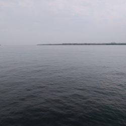 今年はタチウオ遅い