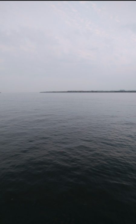 今年はタチウオ遅い