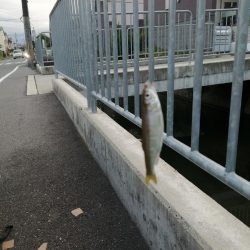 お休みなので❗