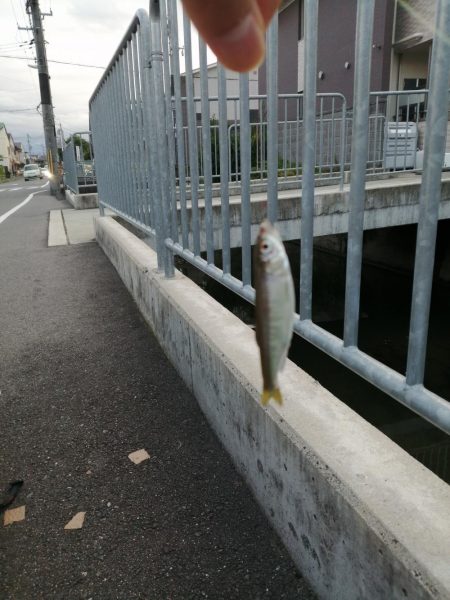 お休みなので❗