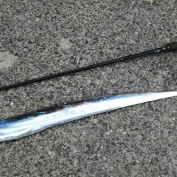 指4本半！量型タチウオGET！