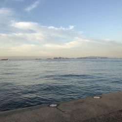 初場所でミノー!62cmハマチ?メジロ!?