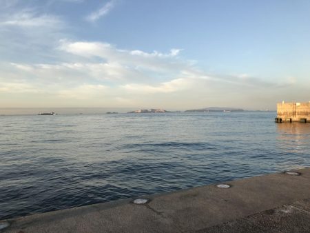 初場所でミノー!62cmハマチ?メジロ!?