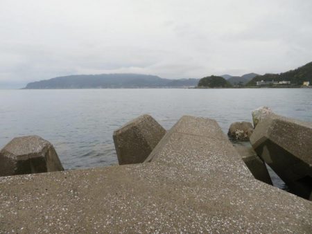 人生初の青物ゲット!