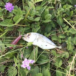 定番のメッキポイントその2