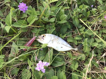 定番のメッキポイントその2