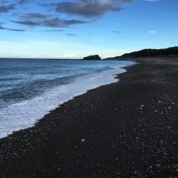 シマアジ32匹、カワハギ1匹