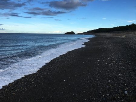 シマアジ32匹、カワハギ1匹