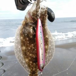 サーフでヒラメリベンジ成功!!