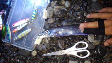 トップガイドのリングが割れた(泣)