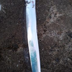 ぎりぎりハマチちゃん