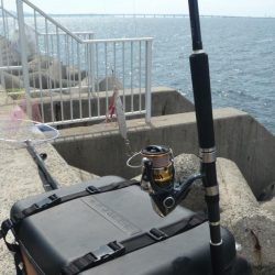 ハマチと呼ばせて！！