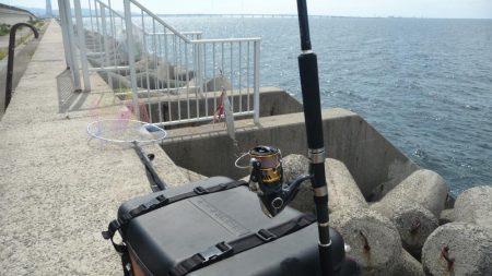 ハマチと呼ばせて！！