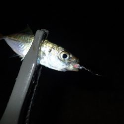 外向きと内向き!