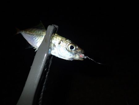 外向きと内向き!