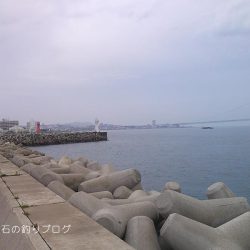 ダンゴ釣りで秋の五目釣り