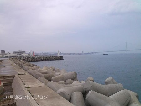 ダンゴ釣りで秋の五目釣り