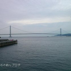 ファミリーフィッシング＆泳がせのイカ狙い