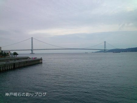 ファミリーフィッシング＆泳がせのイカ狙い