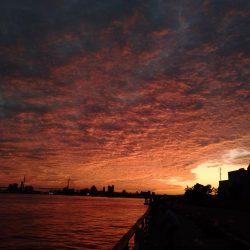 ダイソーショアジギング