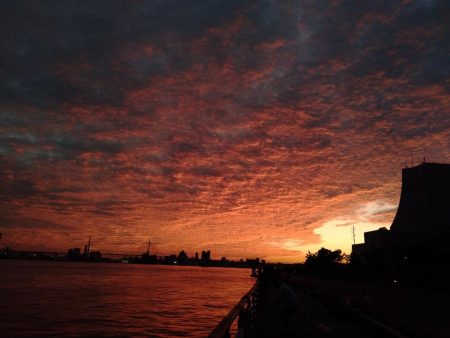 ダイソーショアジギング