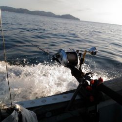 2019年7月末台風のリベンジ