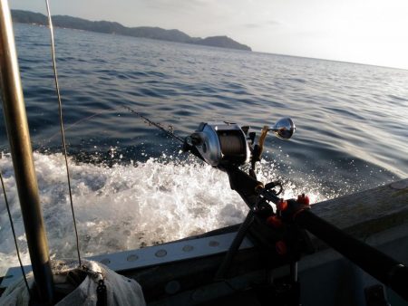 2019年7月末台風のリベンジ
