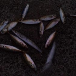 台風後の海は？