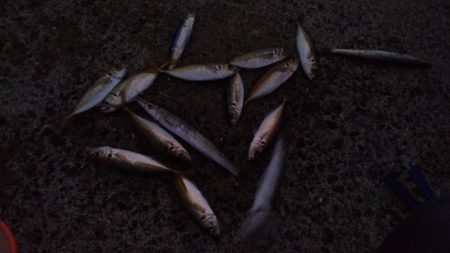 台風後の海は？