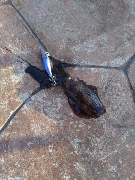 輪島マリンタウン