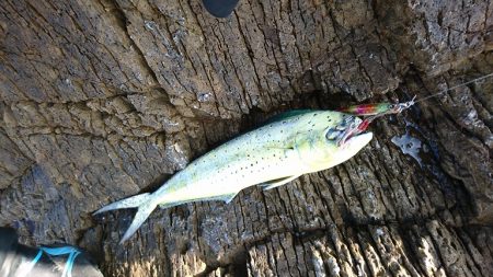 上向きになってきた。