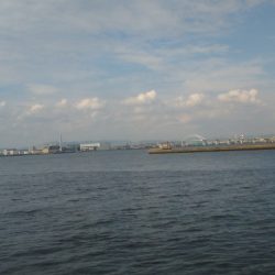 太刀魚のつもりが