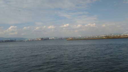 太刀魚のつもりが