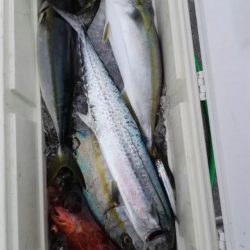 第二大福丸 釣果