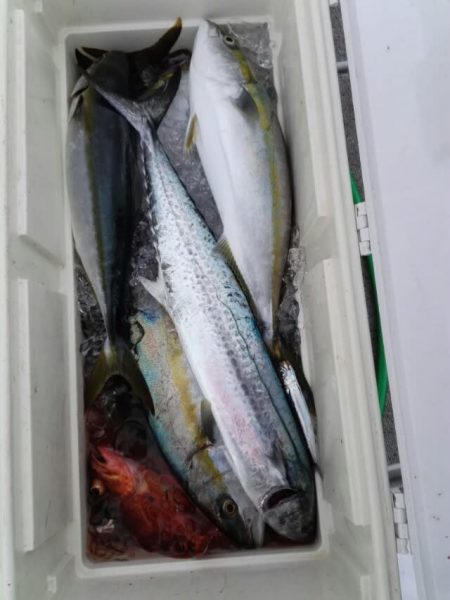 第二大福丸 釣果