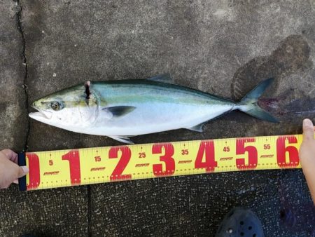 先輩が大物を！！